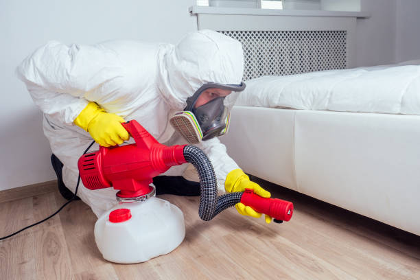 Best Local Pest Control Services  in Avalon, NJ